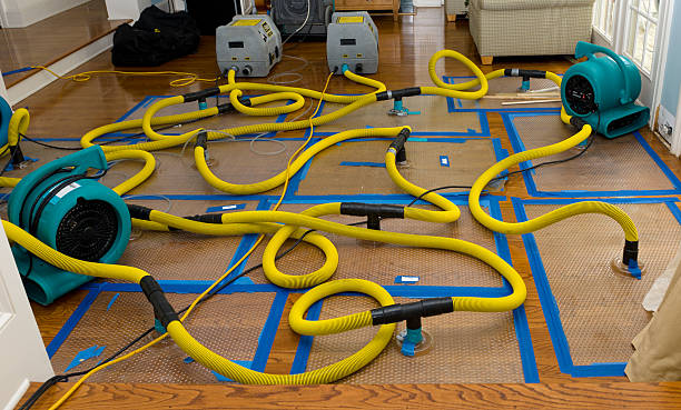 Professional Crawl Space Water Removal technician working in Gillett, TX